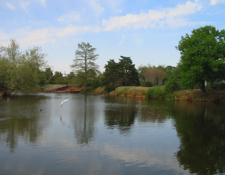 an empty lake in a park with a sky background