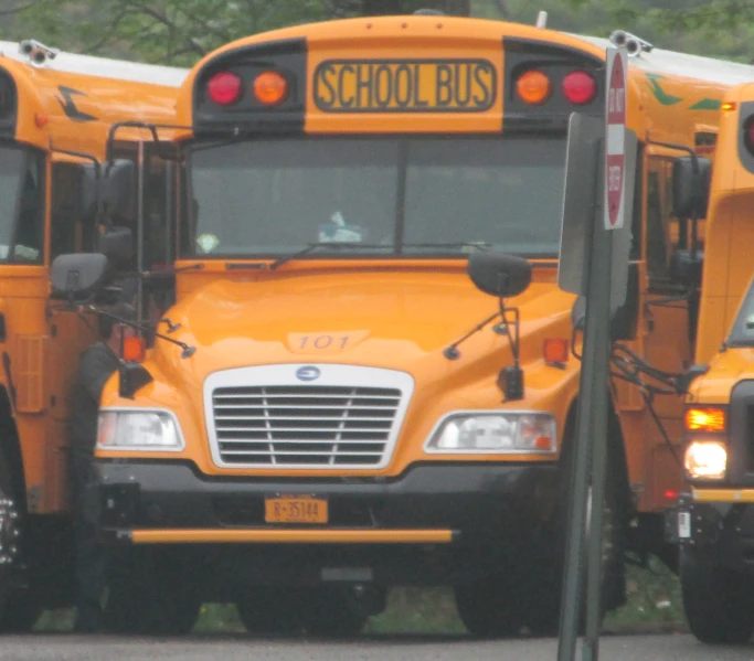 a row of yellow school buses parked together