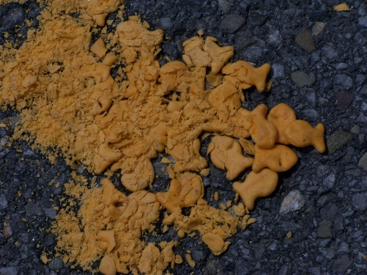 there is a large pile of orange candy on the ground