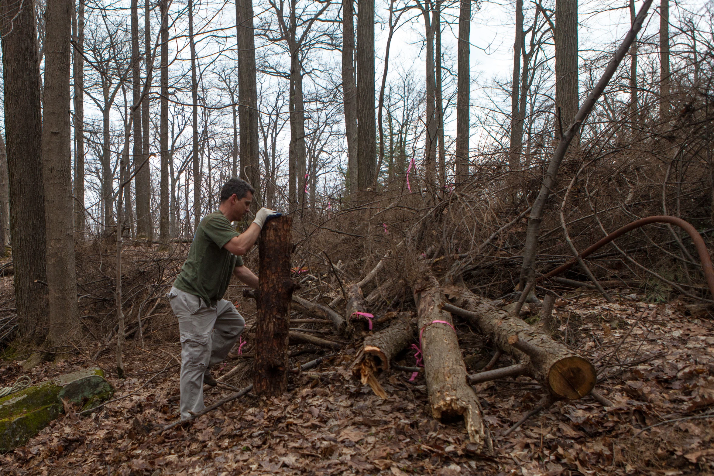 man on a forest path with downed trees