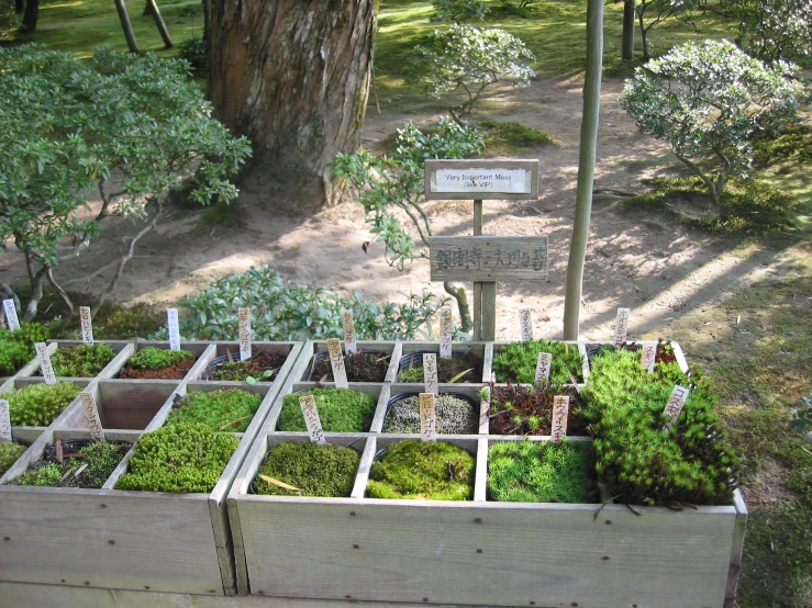 a very pretty garden with a bunch of plants in it