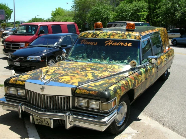 a car with a floral print on the side