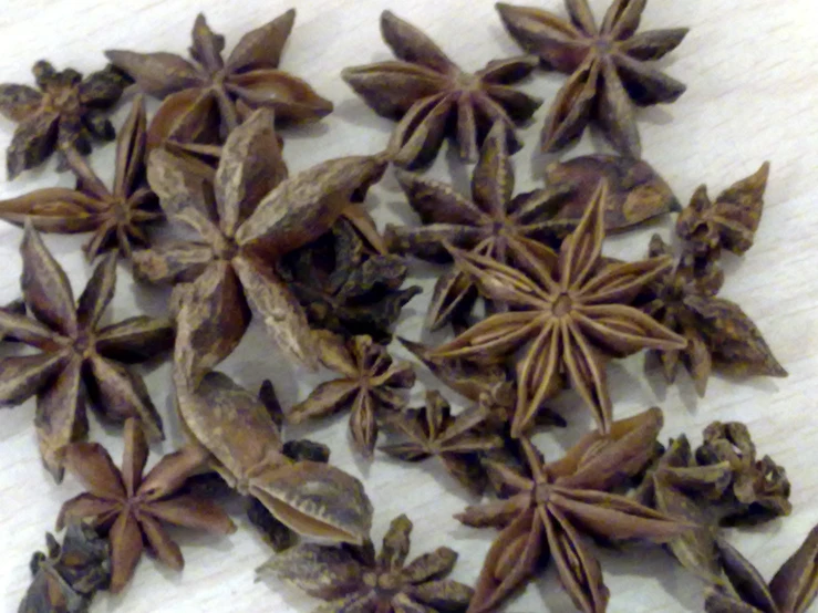 a group of star anise on top of a table