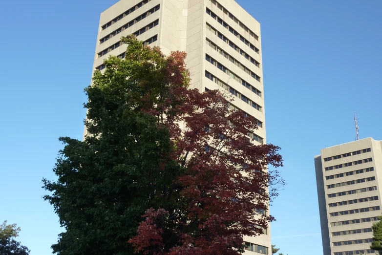 a building next to trees with a street and cars parked on the side