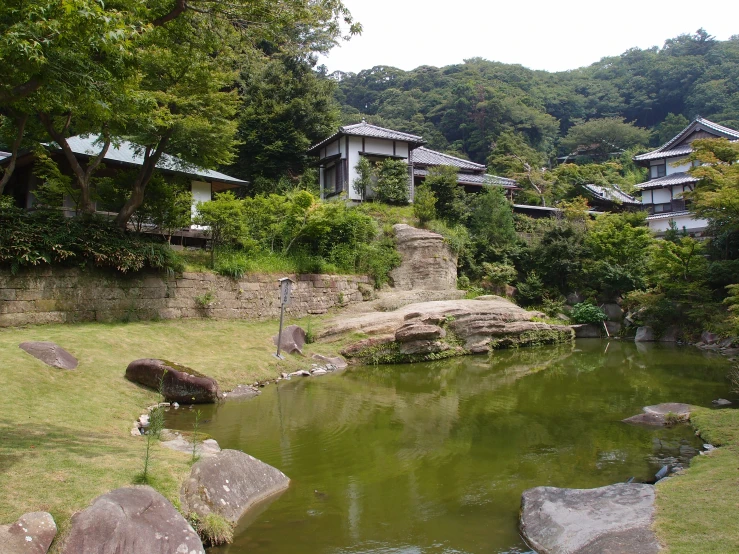 a pond sitting in front of a forest filled with lush green trees