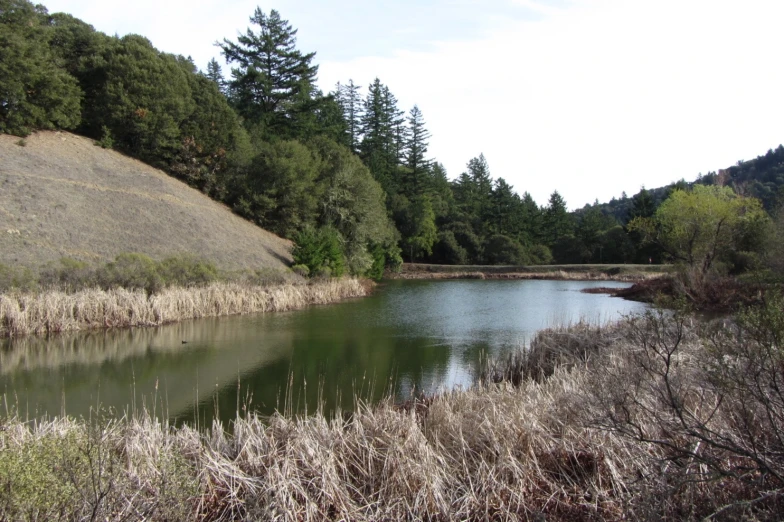 a very pretty lake in the middle of some woods