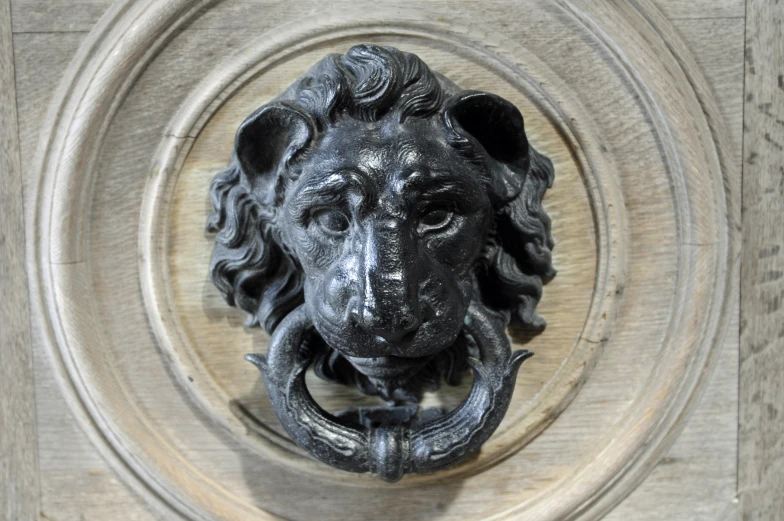 the lion head features a decorative metal ring