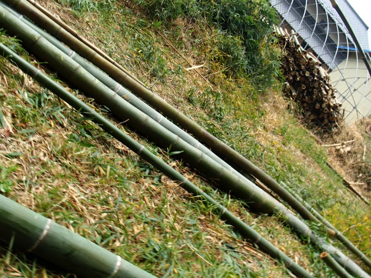 a grassy hill with many wooden poles next to it