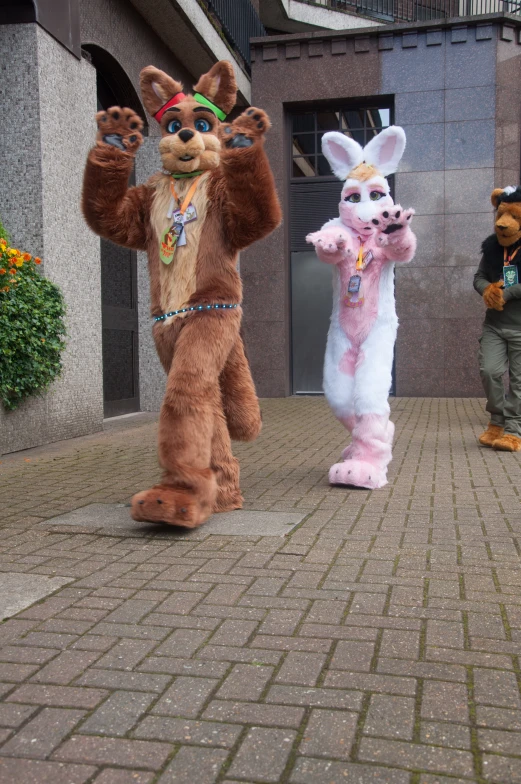 a man and a woman dressed up like a bunny and kangaroo