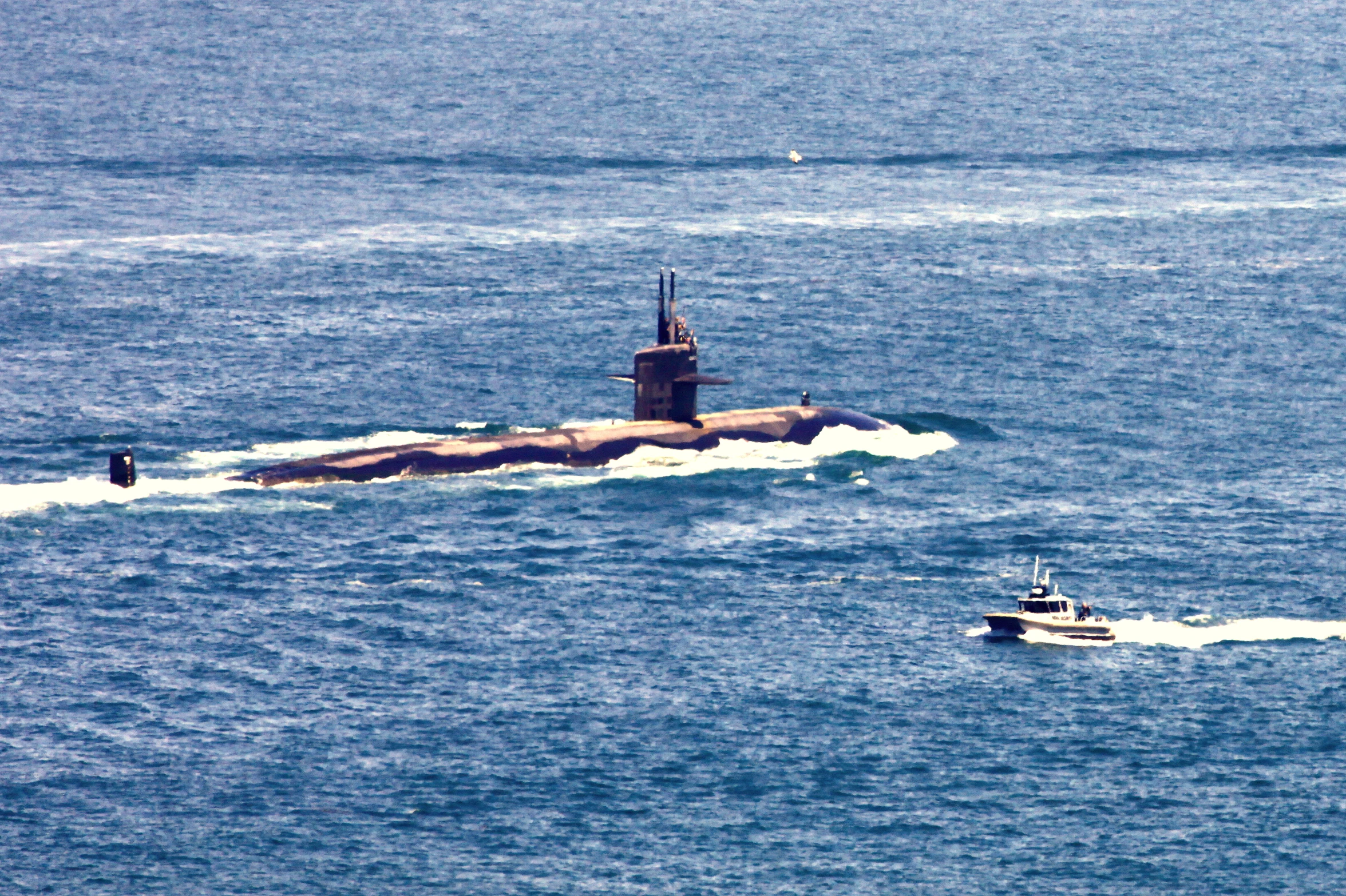 a couple of boats are out on the water