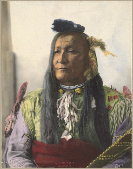 a portrait of a native american man with long hair