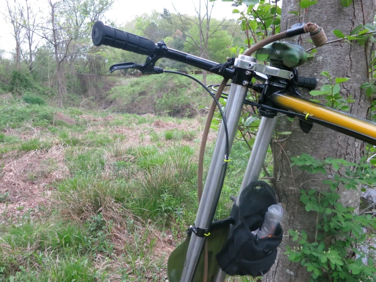 a bicycle leaning on the side of a tree