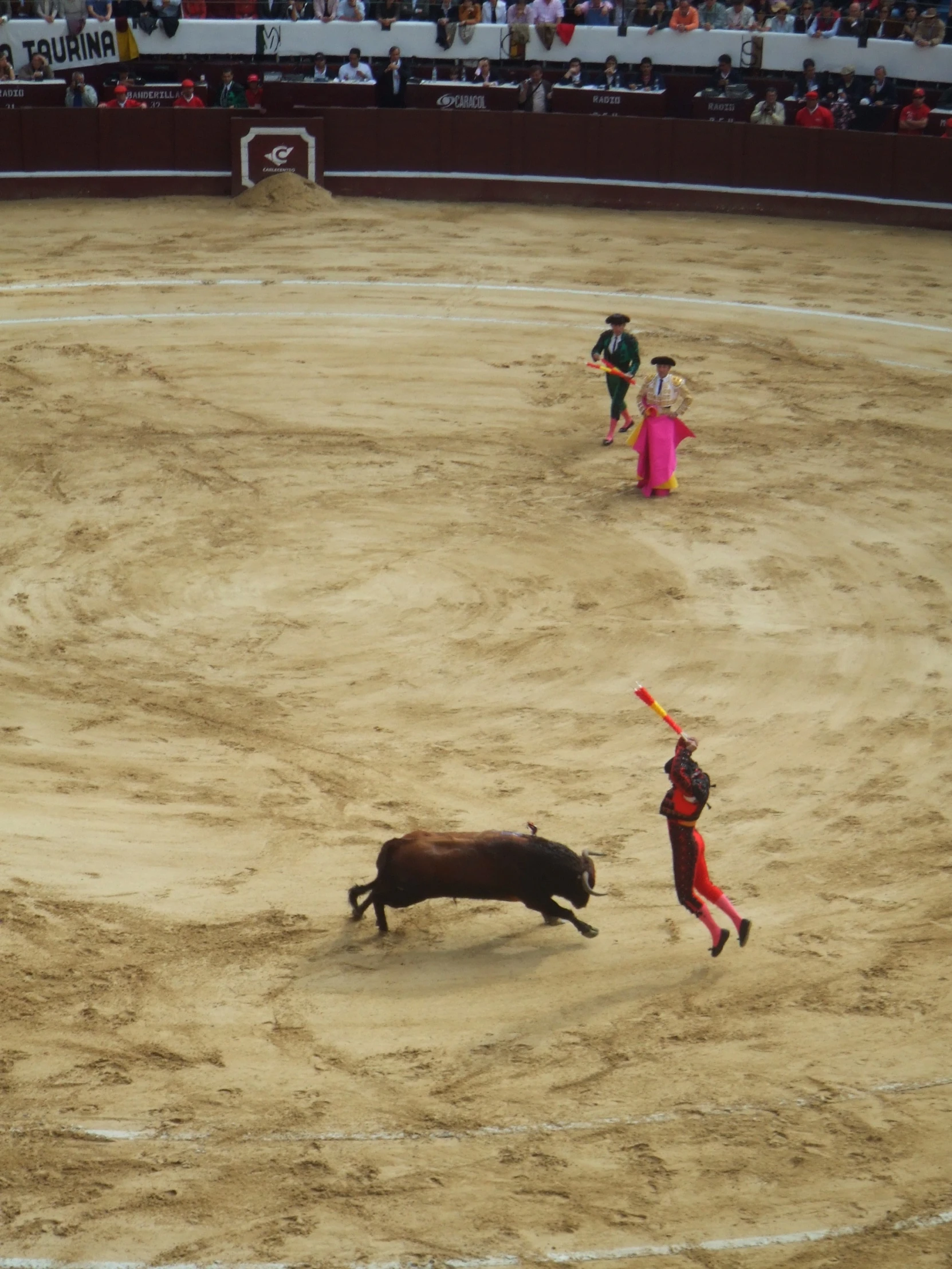 a bull running around an arena with other people watching