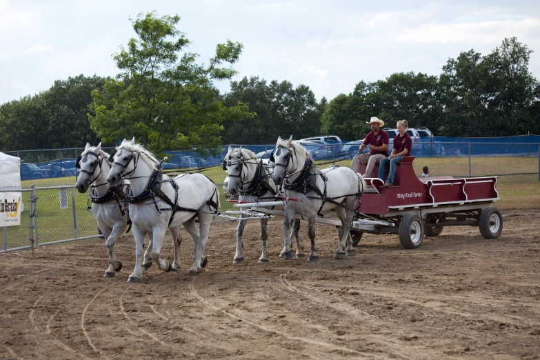 the two people are riding in a carriage with their horse drawn wagons