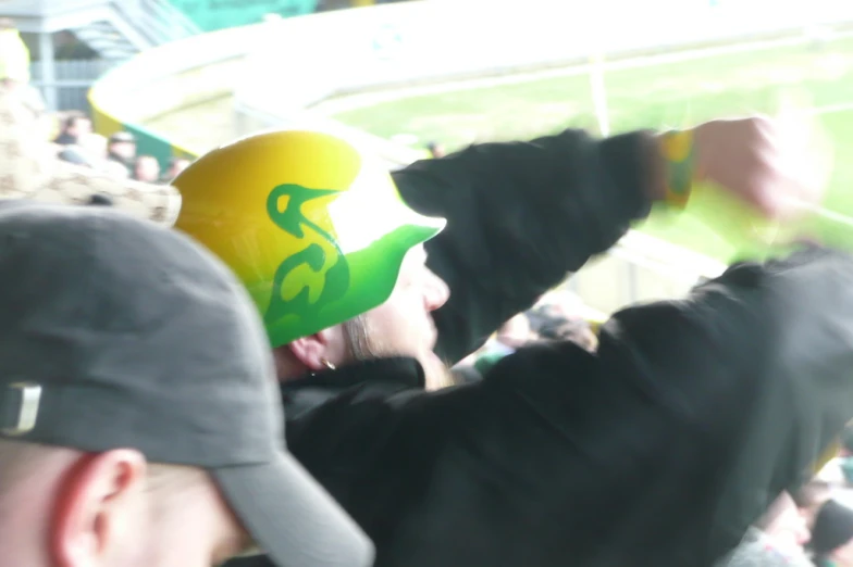 fans in the stands at a baseball game