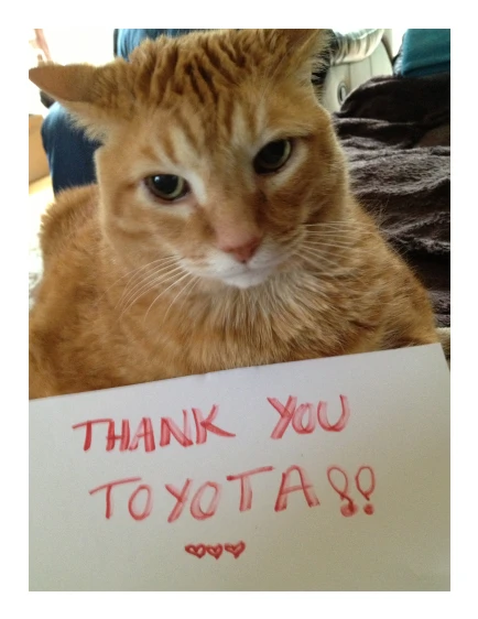 a cat is holding up a thank card