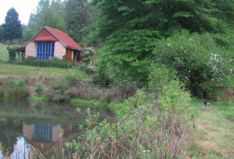 a house with a blue window on a hill