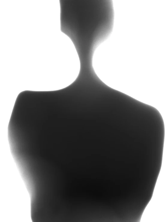 a silhouette po of a mannequin's bust and neck