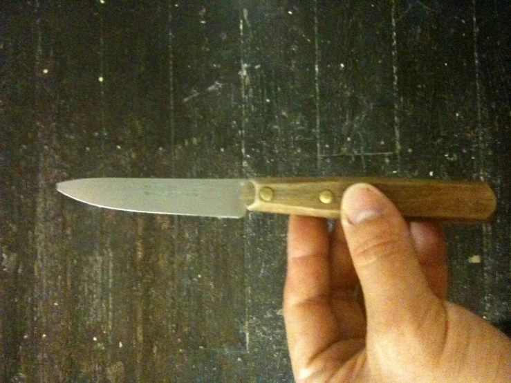 a knife with a wooden handle that is held up