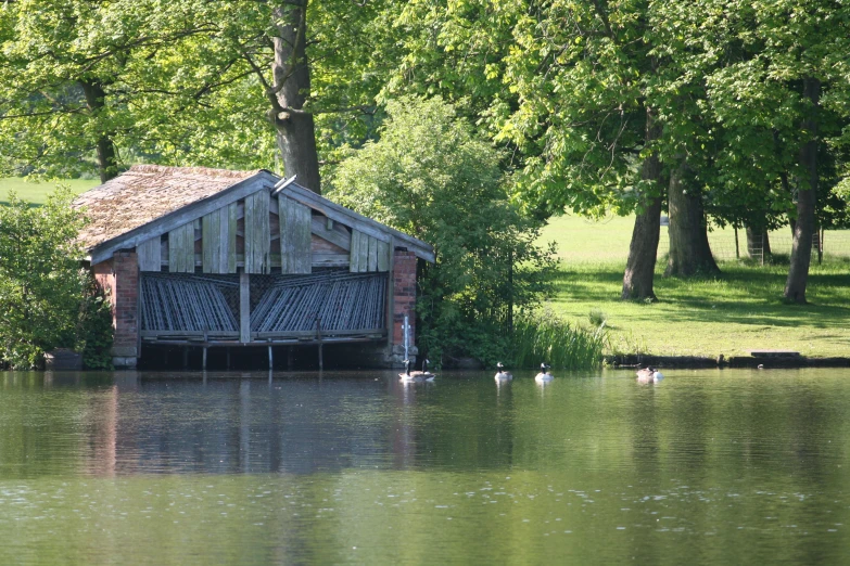 a house in a lake with geese swimming around