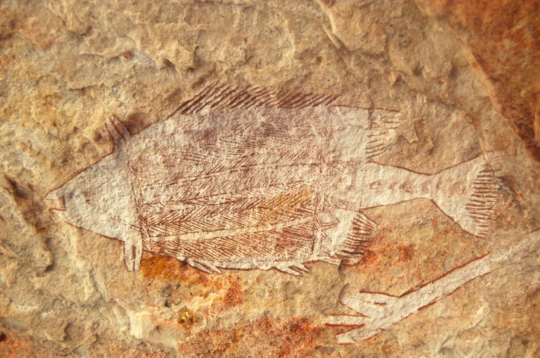 a close up image of rock painting with fish