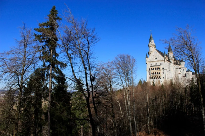 an old gothic - era castle sits among a forest