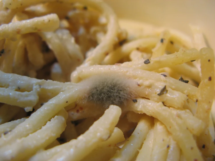 a plate of macaroni with some black stuff