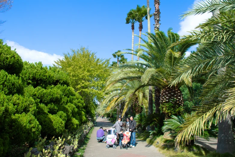 several people sitting in front of palm trees on a pathway