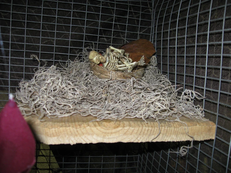 an open cage with shredded yarn on a wooden board and a cat toy in the background