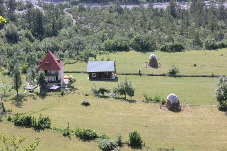 four cows are in a grassy field next to small red roofed homes