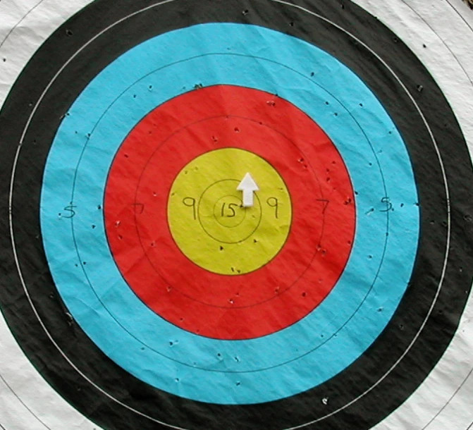 paper target with arrow in center of circle with white cross