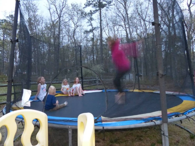 a group of s on a trampoline in a forest