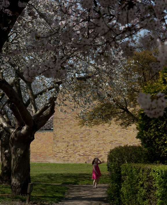 a woman walking along a path with trees