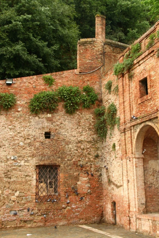 a brick building with ivy growing on the side of it