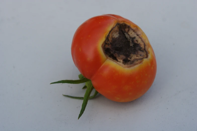 a whole tomato that is cut in half