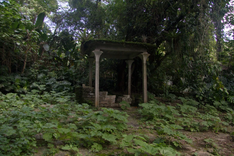 an outdoor gazebo surrounded by vegetation and trees