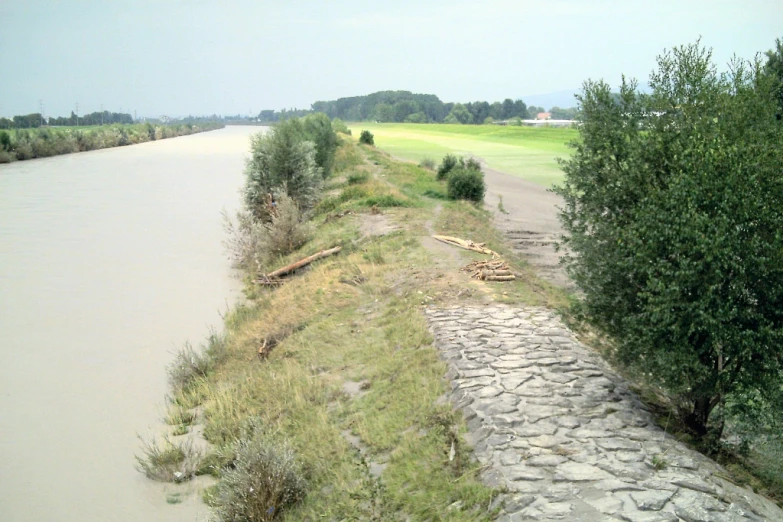 a path is lined by tall plants and a body of water