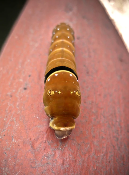 an orange plastic object on top of a wooden surface