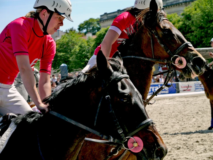 two men are practicing their ss on some horses