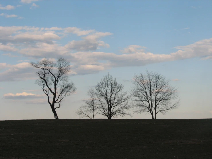 a man riding a horse past two trees