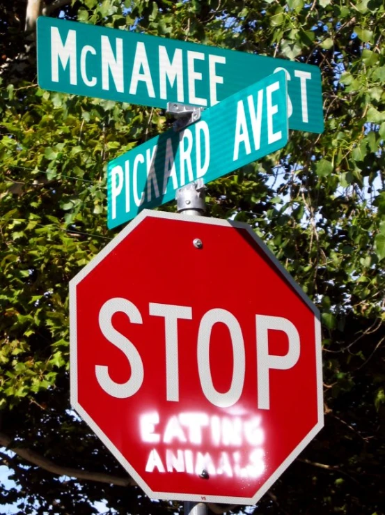 a stop sign with a painting on it under two green street signs