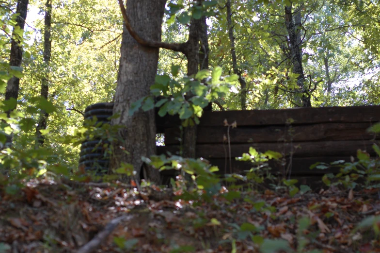 a bench sits at the side of a tree