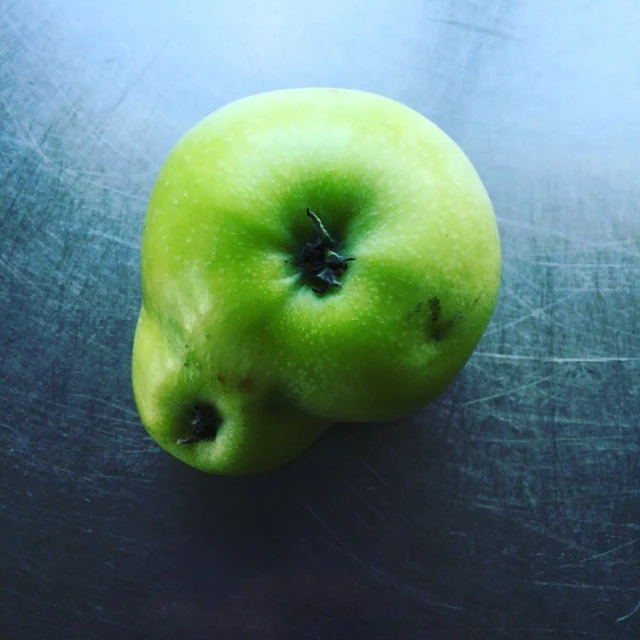 a green apple with the middle of it's bite missing
