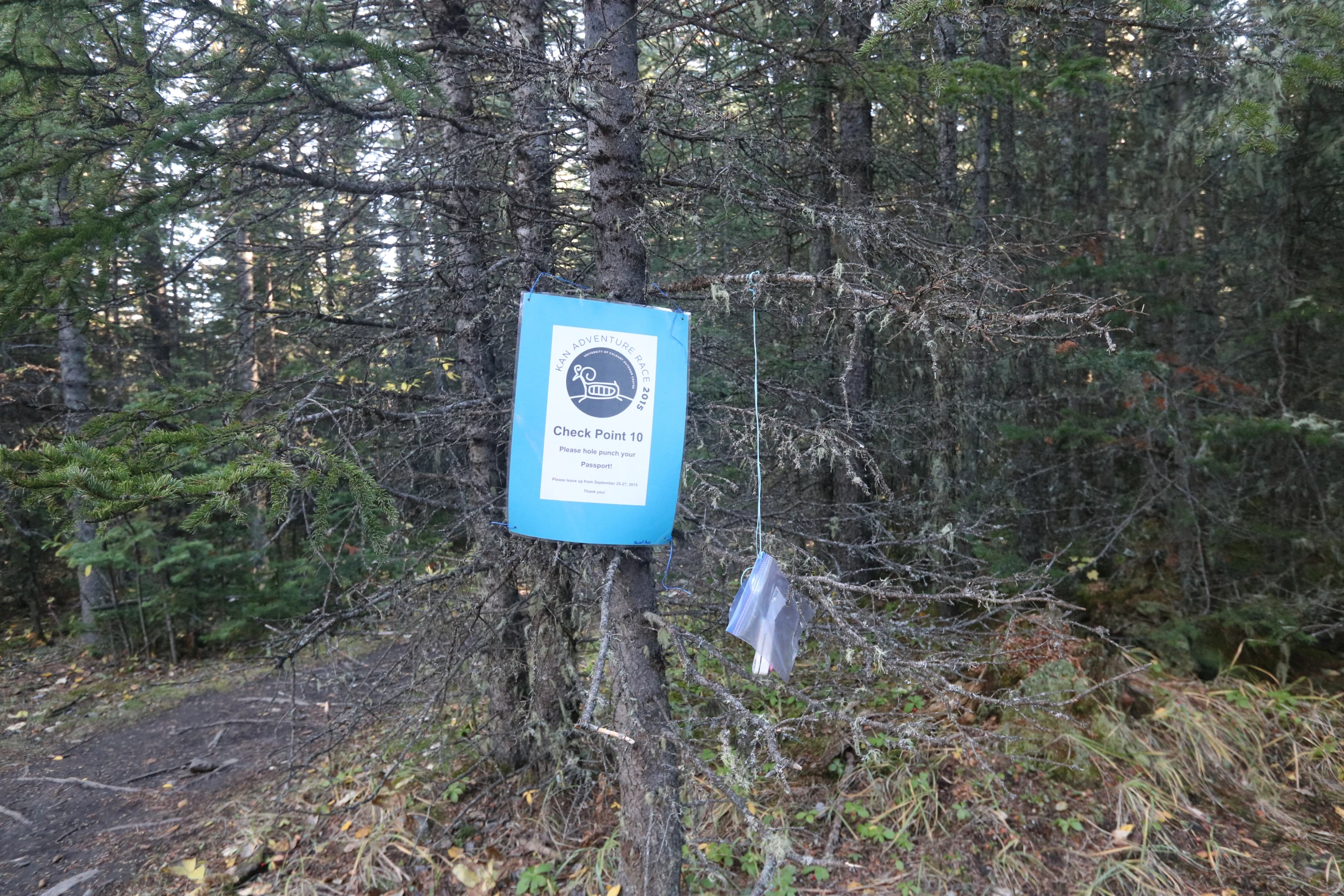 an image of some trees with a sign