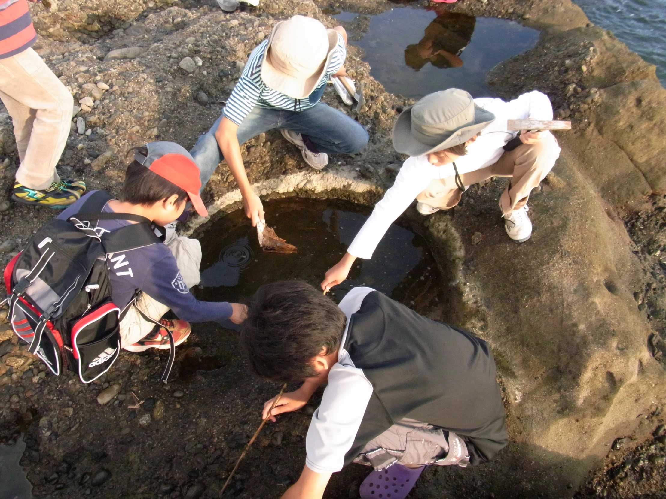 several people looking for rocks in the water