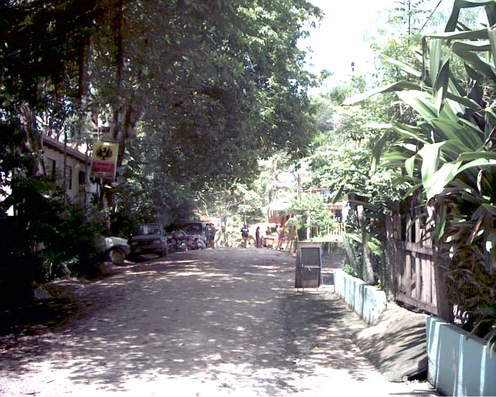 the sun shining on a street lined with lots of trees