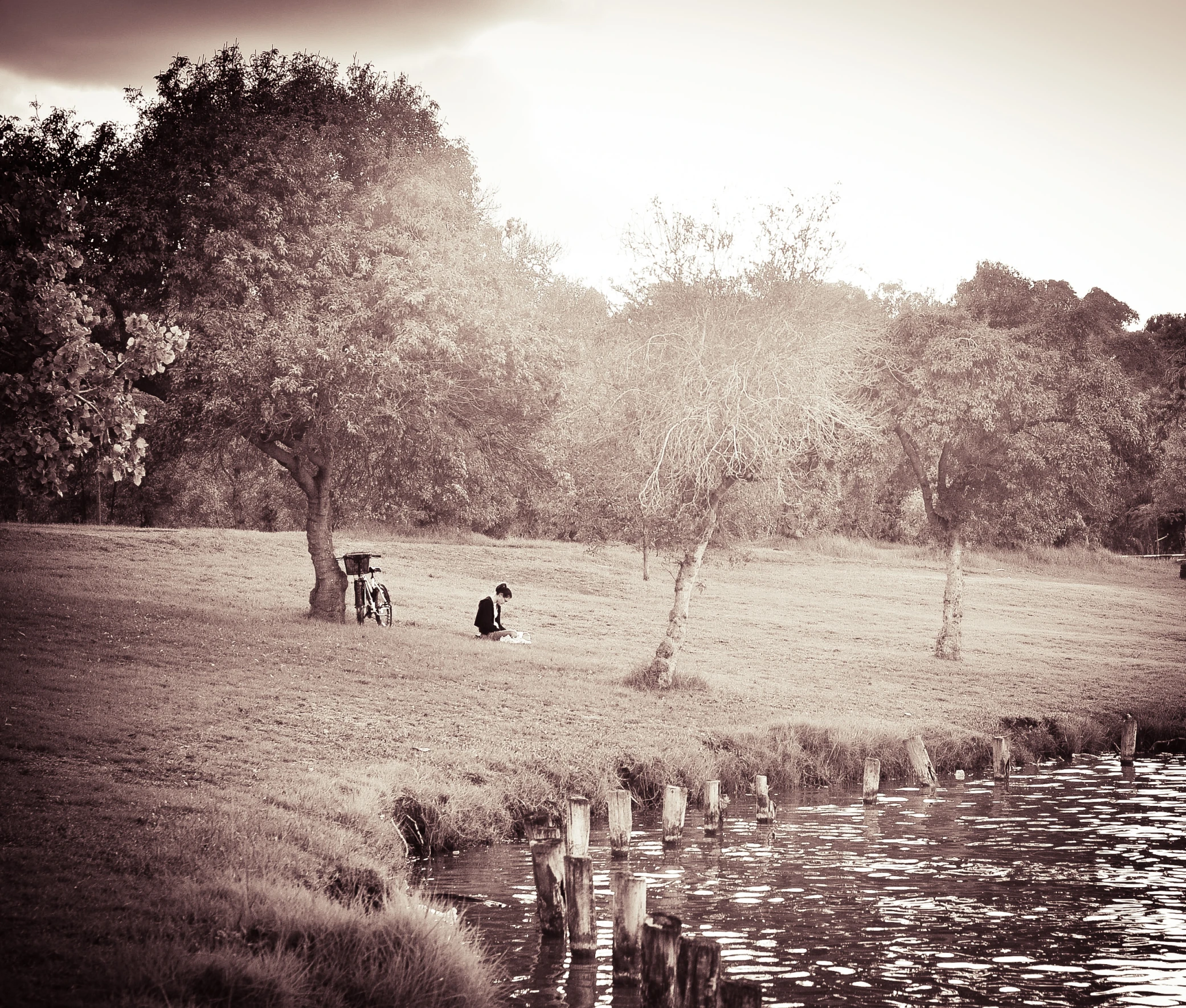 three people sitting on a field near the water
