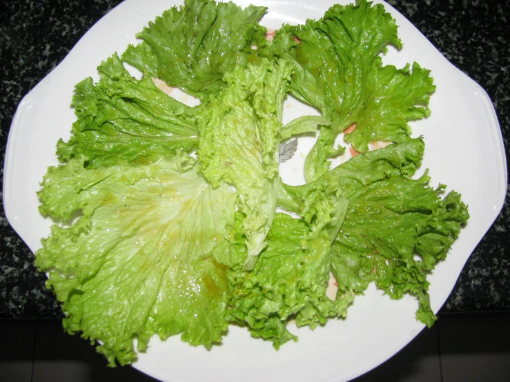 a plate with some lettuce on it