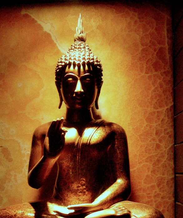 an image of a buddha statue in a room