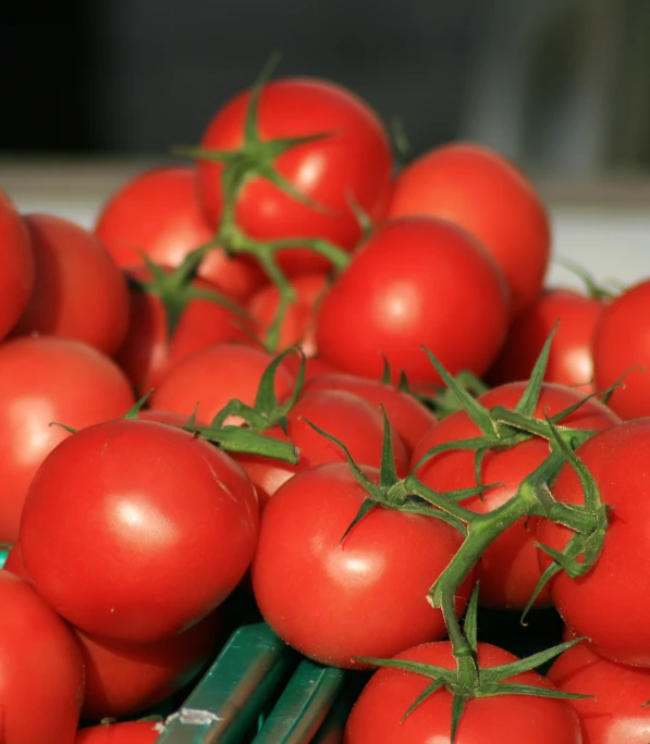 a pile of tomatoes on the vine with one on the other